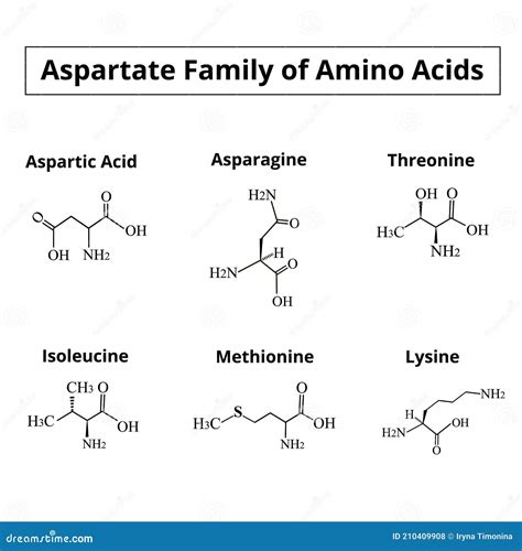 aspartate amino acid is 5 40 high.